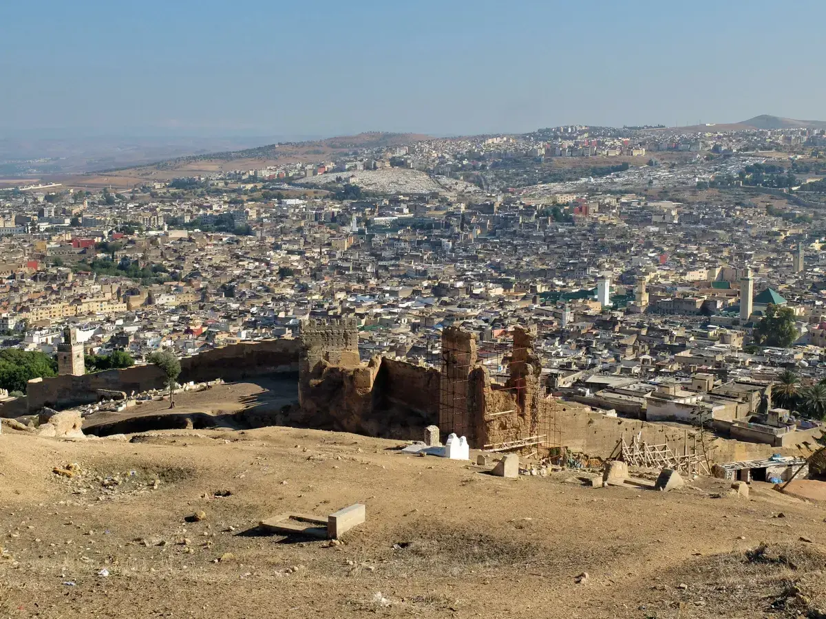 A hilltop view over the Fes medina and the old city walls on a Morocco tour package, Fes medina old city walls, Morocco