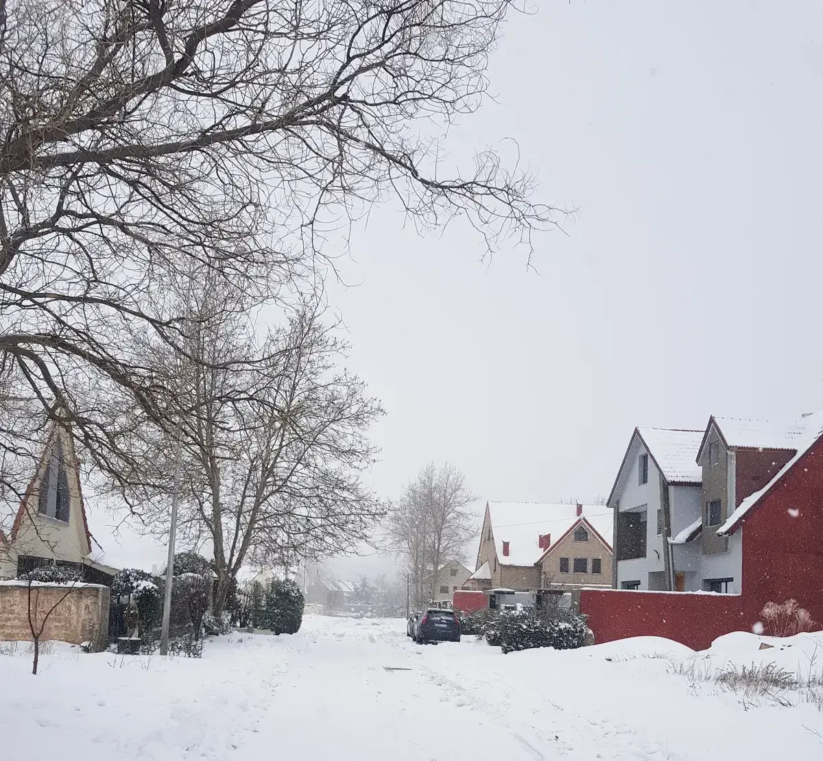 Snow on a street in Ifrane in the Middle Atlas on a Morocco tour package, Ifrane in winter, Morocco