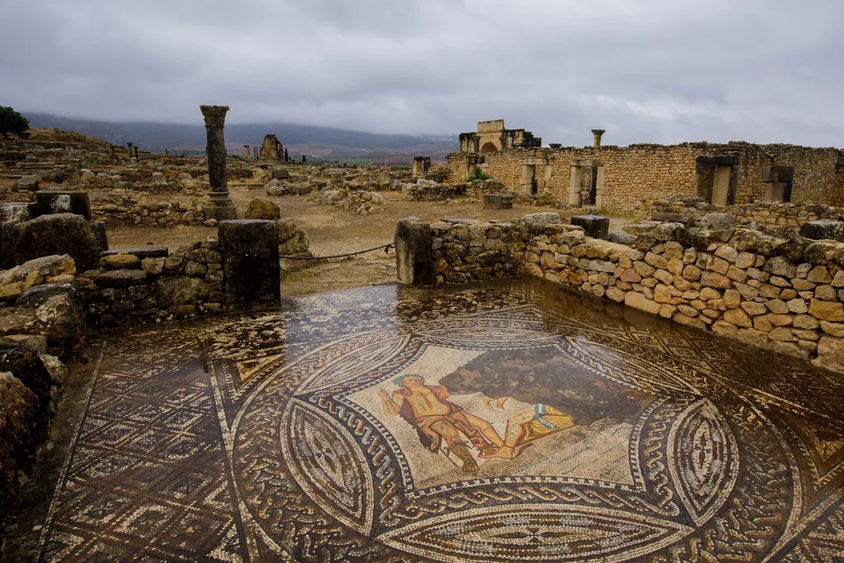 The Roman ruins of Volubilis near Meknes on a Morocco tour package, Volubilis Roman ruins, Morocco